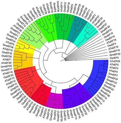 Genome-wide analysis of the soybean eEF gene family and its involvement in virus resistance